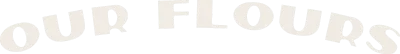 Our+Flours